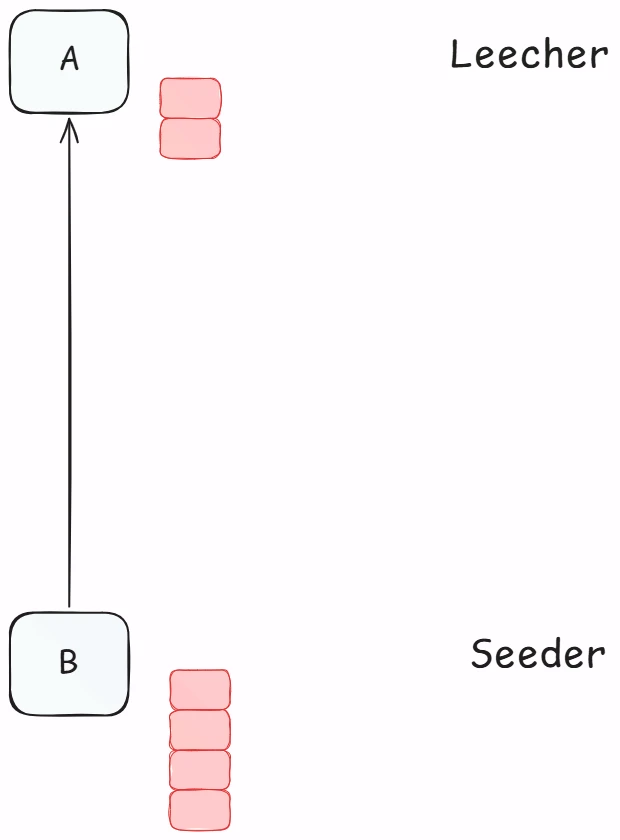 Seeder vs leecher comparison diagram
